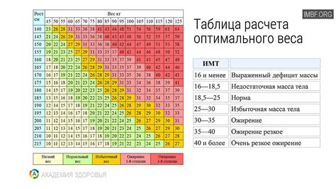 Расчет и контроль идеального веса: простые шаги к здоровой фигуре