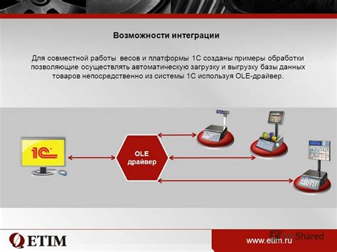 Расширенные возможности весов RS 751: анализ данных и функции