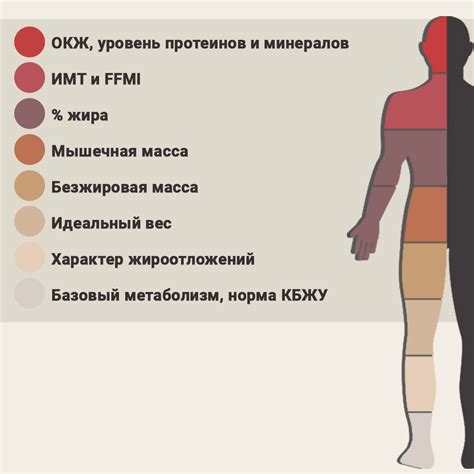 Расшифровка и интерпретация