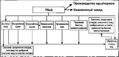 Рациональное использование побочных продуктов