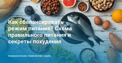 Рацион питания гуппи: как сбалансировать питание