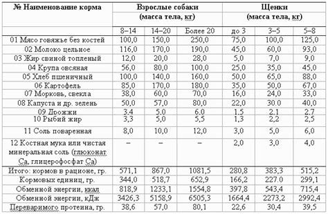 Рацион собаки: ключевой фактор в качестве шерсти и кожи