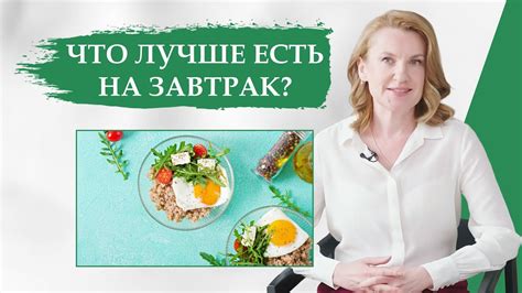 Рацион цыплят: белковый баланс