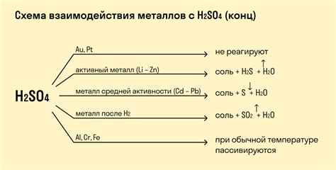 Реакции с обменом веществами