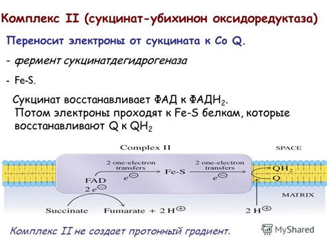 Реакция в организмах для получения АТФ