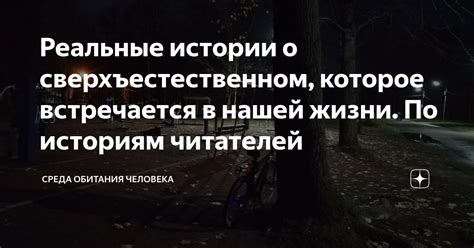 Реальные истории о нашей солидарности