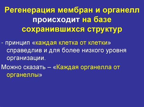 Регенерация и повторное появление