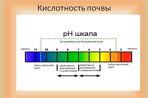 Регулирование pH уровня почвы