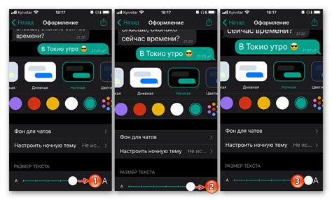 Регулировка размера шрифта в WhatsApp на iPhone