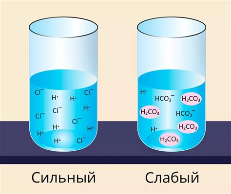 Регулирует баланс электролитов