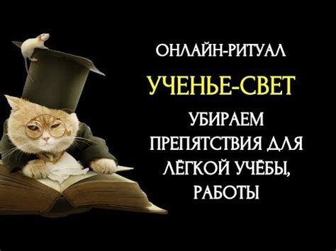 Регулярное обслуживание и чистка для поддержания хорошей работоспособности