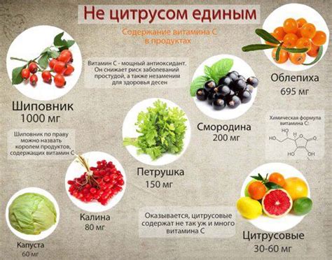 Регулярное употребление продуктов, богатых витамином C