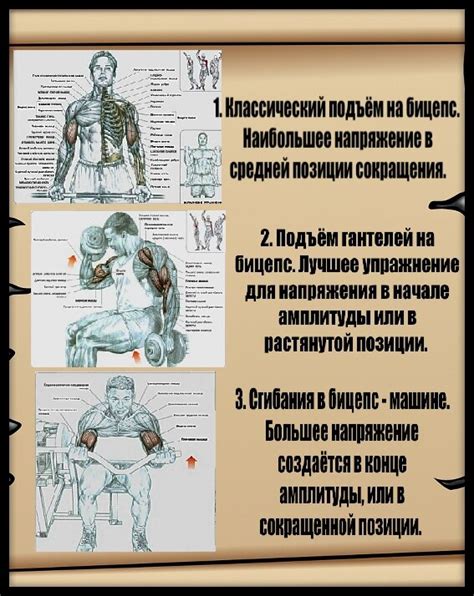 Регулярные тренировки для сокращения объема рук