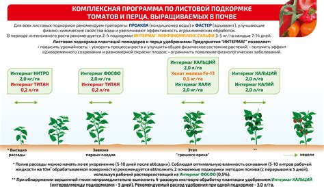 Регулярный подкорм