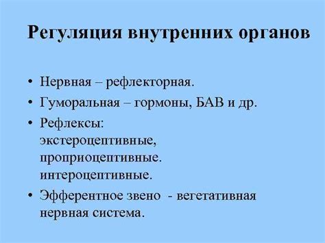 Регуляция внутренних органов