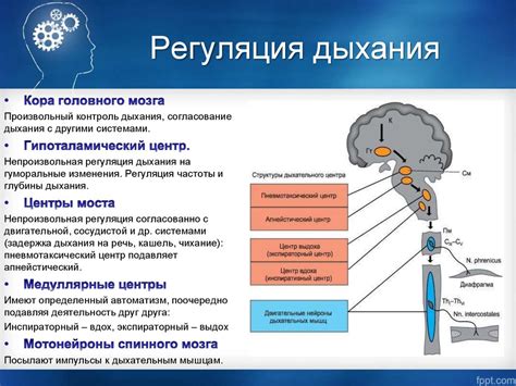 Регуляция сознания