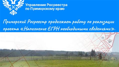 Реестр муниципалитетов