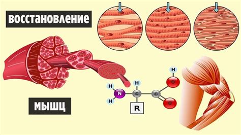 Режим питания для быстрого восстановления