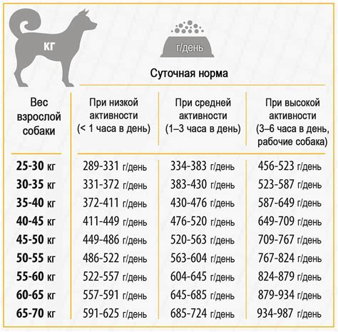 Режим питания после родов собаки