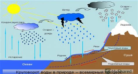 Режим полива и влажность воздуха