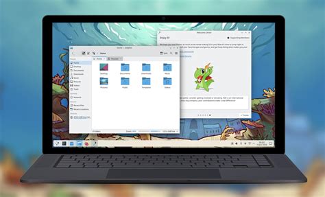 Резервное копирование и обновление KDE Plasma на Mac OS