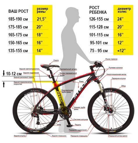 Рекомендации по выбору размера колеса для разных типов велосипедов