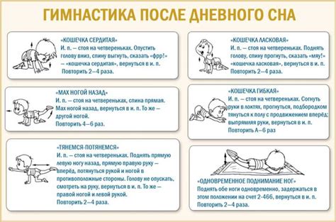 Рекомендации по действиям после сна с ежиком