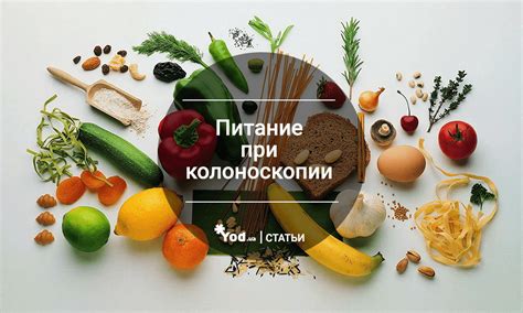 Рекомендации по питанию перед ФГС и колоноскопией: что можно есть?