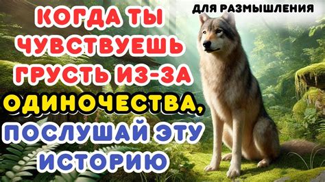 Рекомендации по поведению в реальной жизни после сна о волке рыкающем на вас