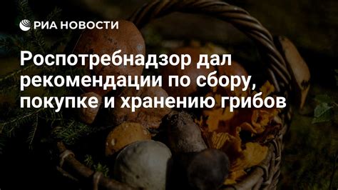 Рекомендации по покупке и хранению костной муки