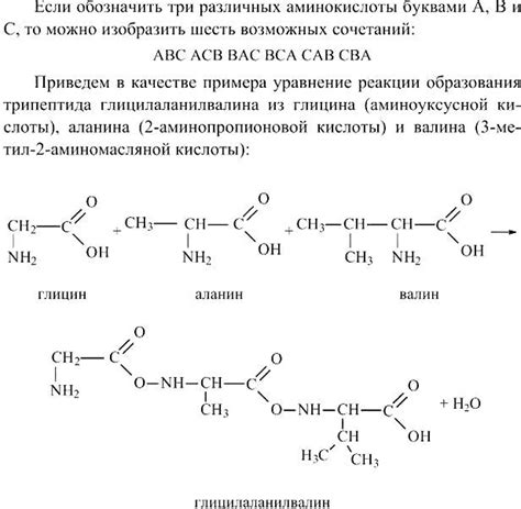Рекомендации по получению трипептидов из аминокислот в домашних условиях