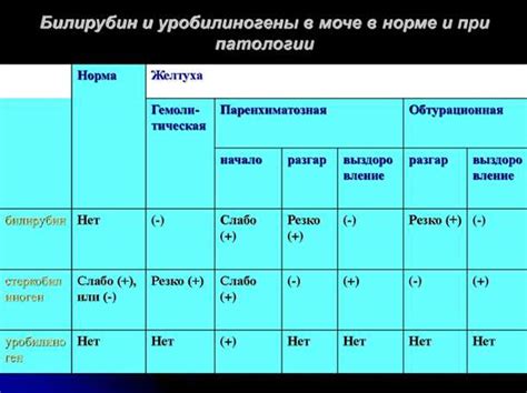 Рекомендации по предотвращению повышенного содержания билирубина