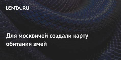 Рекомендации по созданию неблагоприятных условий для обитания змей