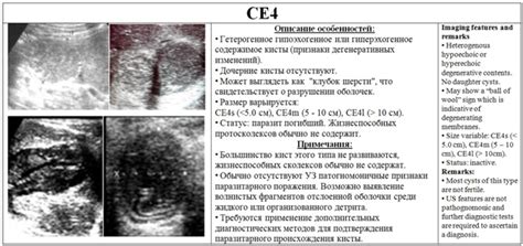 Рентгенологическая диагностика эхинококкоза