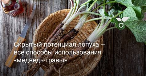 Рецепты использования жмыха лопуха в кулинарии