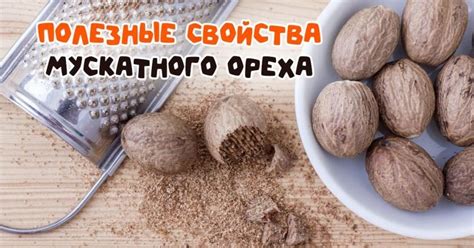 Рецепт бешамель со вкусом мускатного ореха