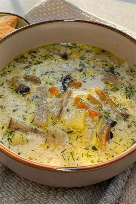 Рецепт и описание грибной солянки: самый вкусный способ приготовить