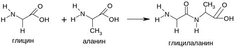 Рецепт приготовления третьей аминокислоты