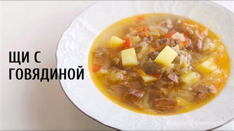 Рецепт приготовления щей из свежей капусты с мясом в кастрюле