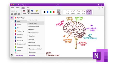 Решение проблем с блокнотами в OneNote