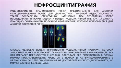 Риски для функционирования почек