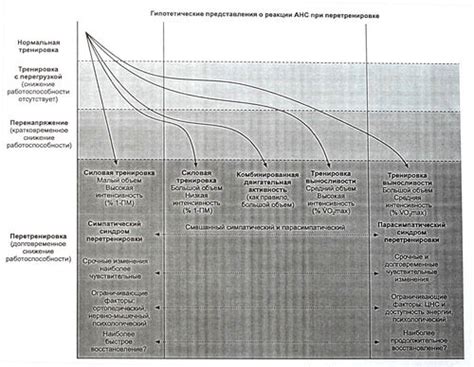 Риск повреждений и синдромы перетренировки