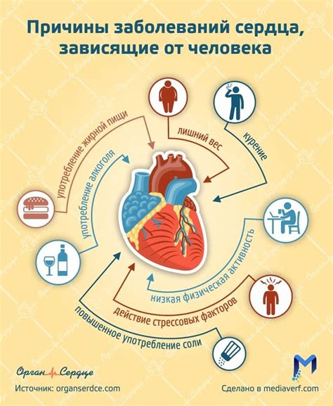 Риск развития заболеваний сердца и сосудов