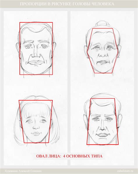 Рисование головы: форма и пропорции