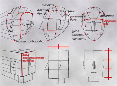 Рисование формы головы