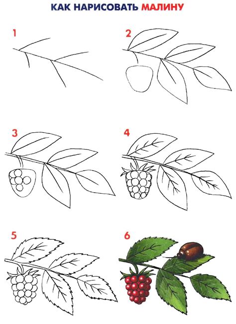 Рисование ягод