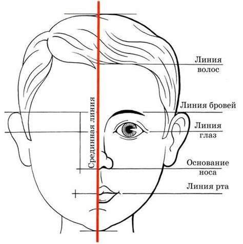 Рисуем голову и тело