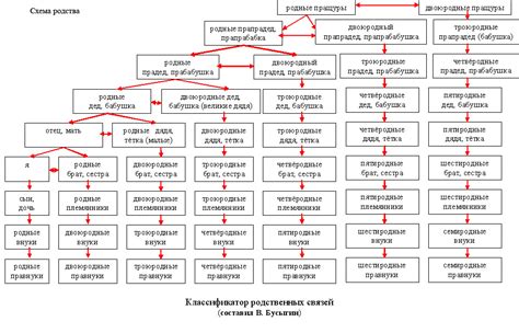 Родственные термины и сферы применения