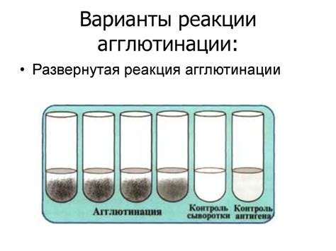 Ролевая белка в жидкой среде