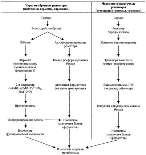Роли гормонов в передаче сигналов